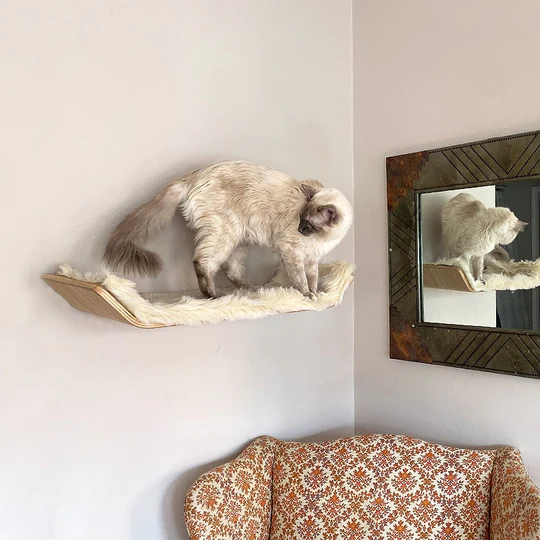 cat bed wall mount
