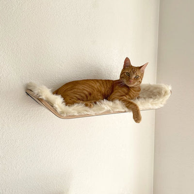 cat wall furniture